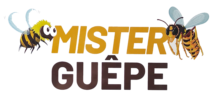mister guêpe