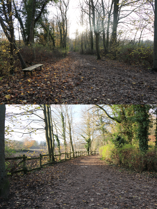 Petite rando ombragé à Oignies