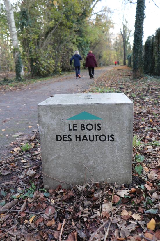 Le bois des Hautois