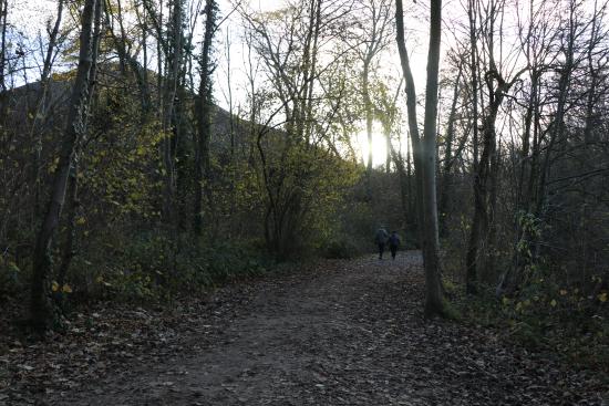 Balade sur le terril du 9-9bis