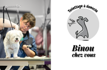 binou chez vous